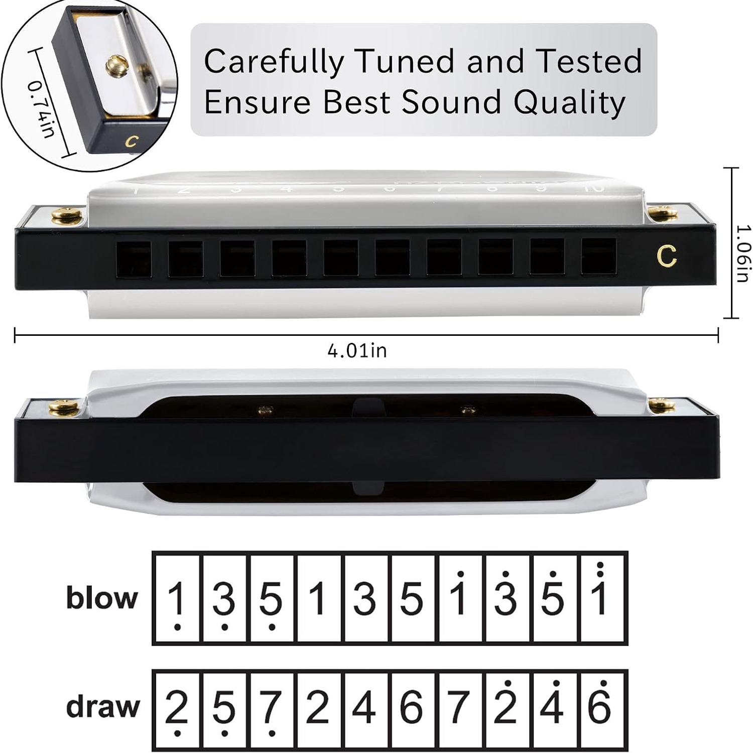 East Top T10-4 10 Hole Blues Harmonica, Key of C