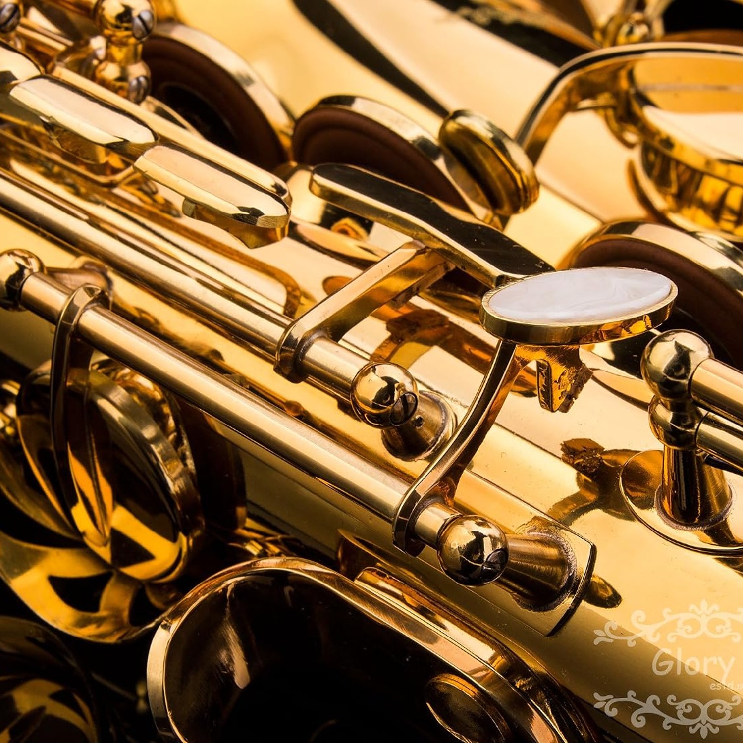 GLORY Eb Alto Saxophone with Hard Case and Starter Kit: image 5